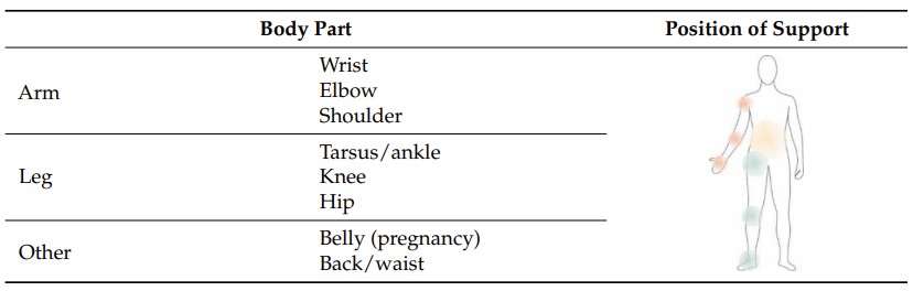 The classification scheme for orthopaedic supports with respect to their anatomical location on the body.