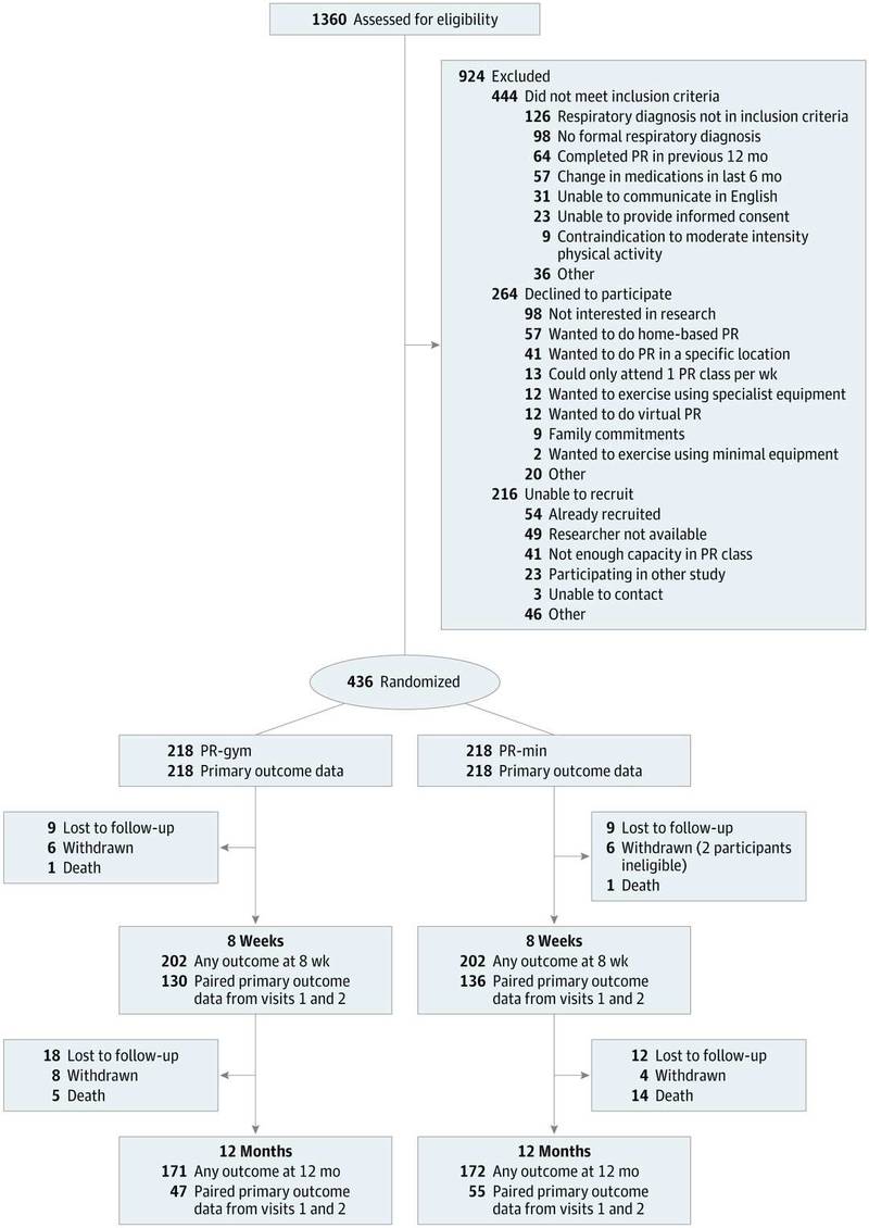 Flowchart Illustrating the Consolidated Standards for Reporting Trials (CONSORT) Guidelines 