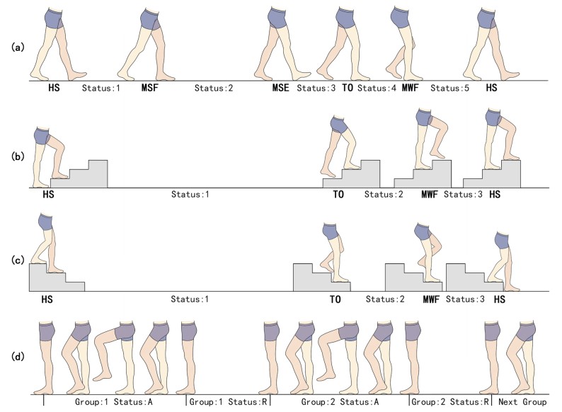 An Elaboration on the Labels Linked to Limb Movements.