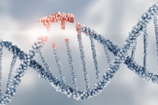 DNA double helix with red gene regions on circular nucleotide units.