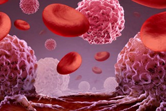 Blood and vessel microscopic view with red blood cells and white blood cells.
