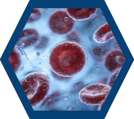 Research-grade reagents for blood cell analysis