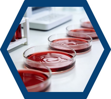 Research reagents for blood chemical analysis