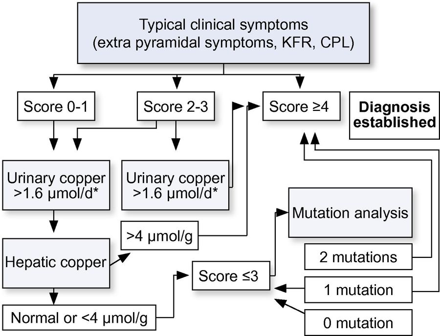 Diagnostic algorithms for Wilson disease based on the Leipzig Score.