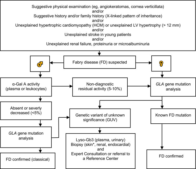 Diagnostic algorithm for Fabry disease.
