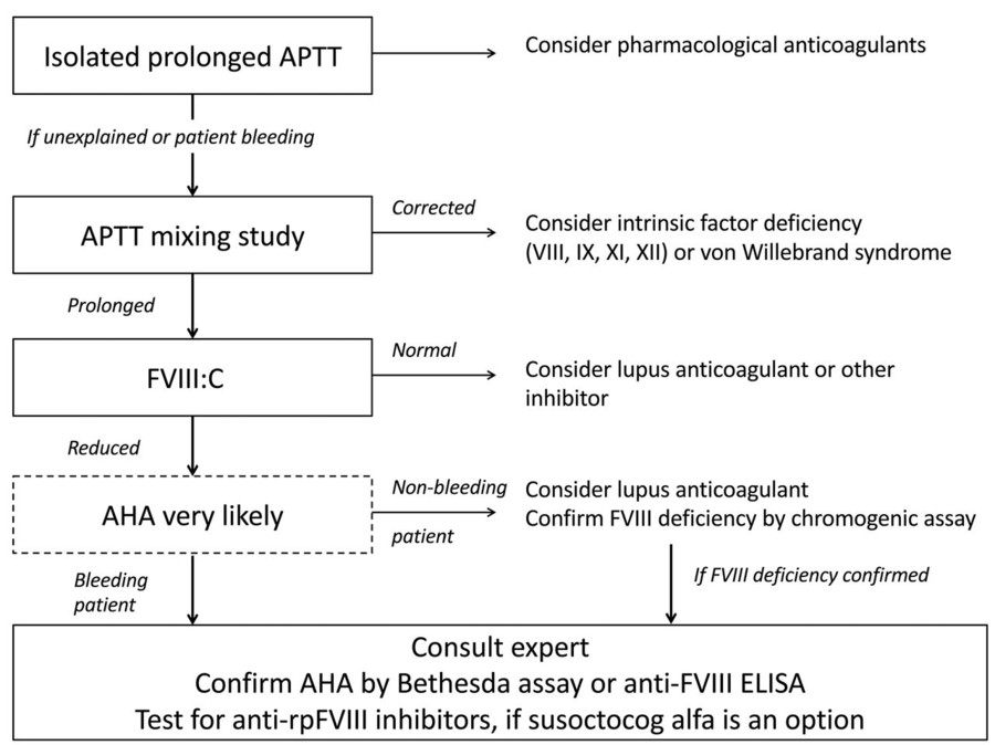 Diagnostic pathway for acquired hemophilia A.