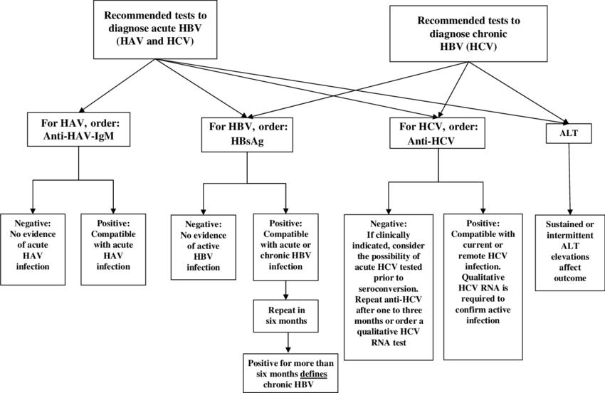 Diagnostic tests for acute or chronic hepatitis B virus infection.
