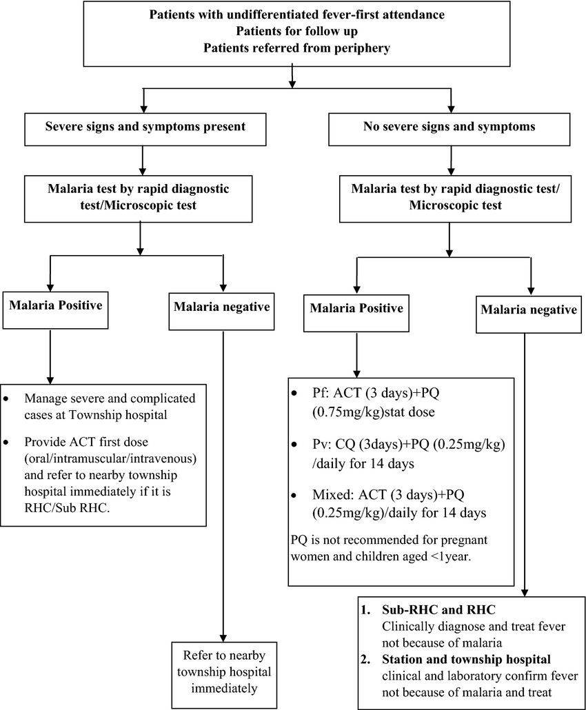 The algorithm of malaria screening, diagnosis and treatment services.