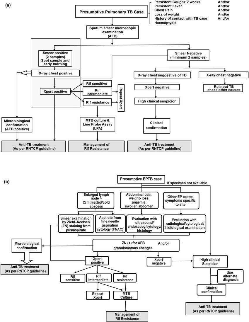 The tuberculosis diagnostic algorithm proposed by the Revised National TB Control Program (RNTCP) guidelines