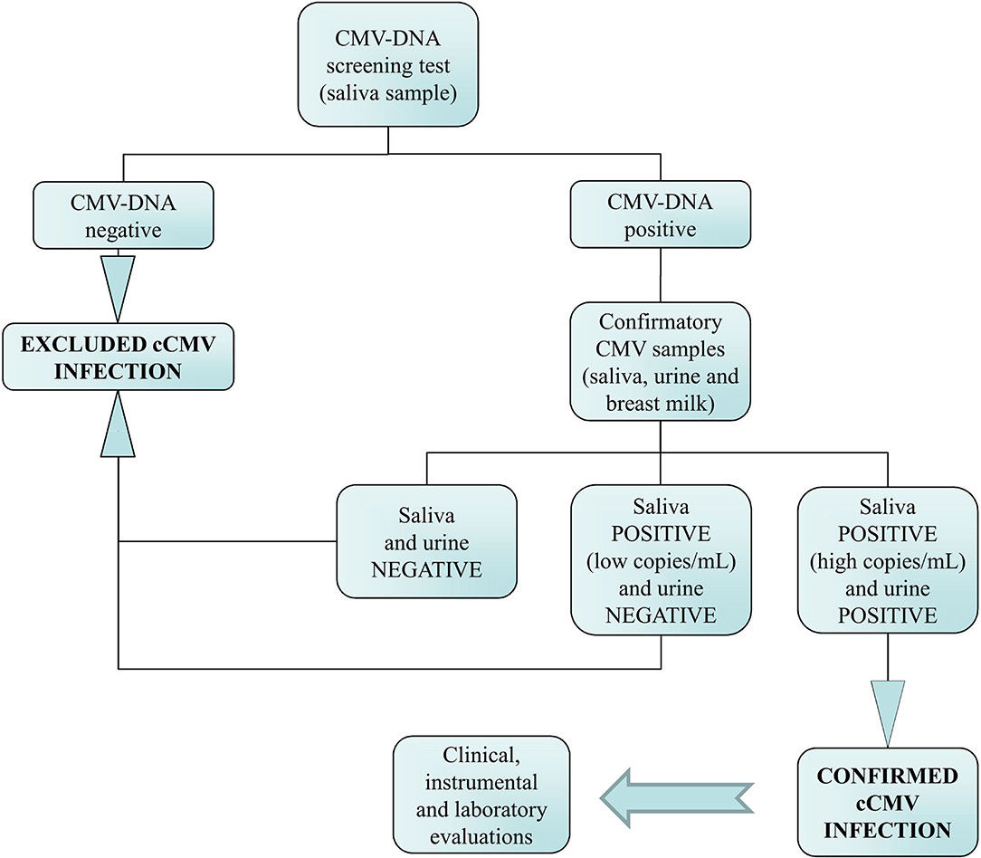 Flowchart of the neonatal congenital CMV screening and the algorithm used for the diagnosis of infection.