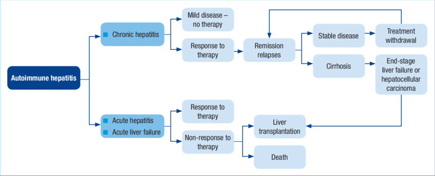 Clinical presentation and course of autoimmune hepatitis.